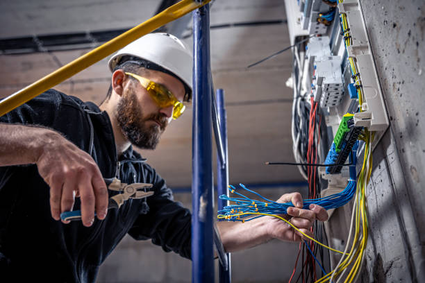Best Electric Panel Repair  in Lake Sarasota, FL