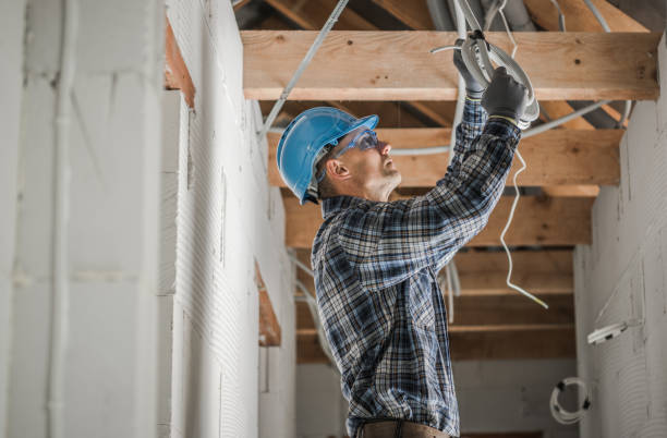 Best Residential Electrician Services  in Lake Sarasota, FL