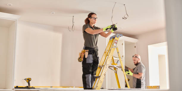 Best Commercial Electrician Services  in Lake Sarasota, FL