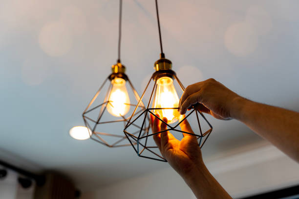 Best 24-Hour Electrician  in Lake Sarasota, FL